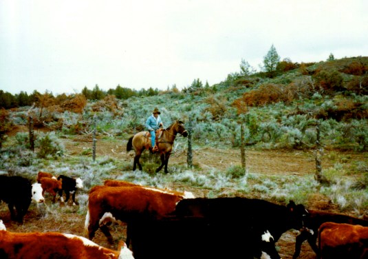 Ranch 101…AV Ranch…Post, Oregon | Hot Rod Cowgirl
