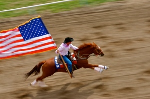 Flag-and-horse