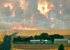 11209512_1056803757663010_4242742552326542406_n